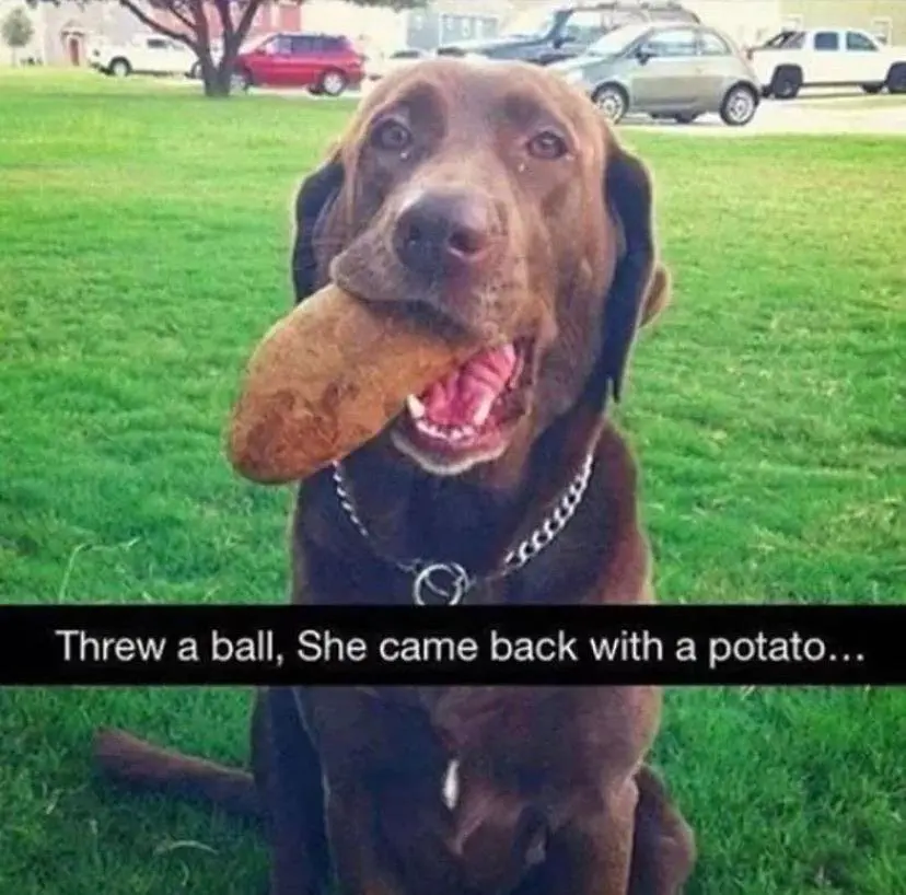 Image credit: Reddit |ahahahlol