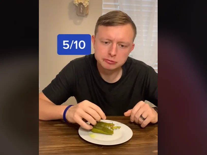 Image credit: TikTok | @williamcraft09