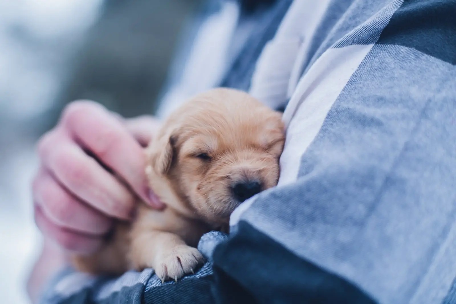 Image credit: Unsplash | Lydia Torrey