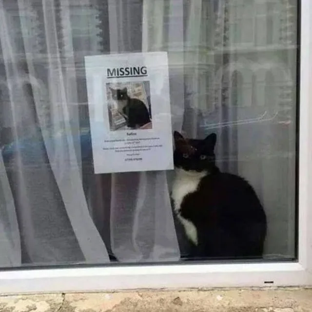 Image credit: Reddit | ledgendary