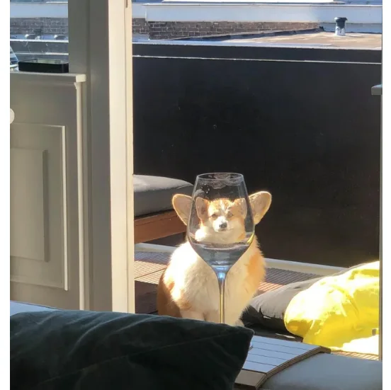 Image credit: Reddit | imthealpaca