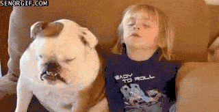 Image credit: Giphy