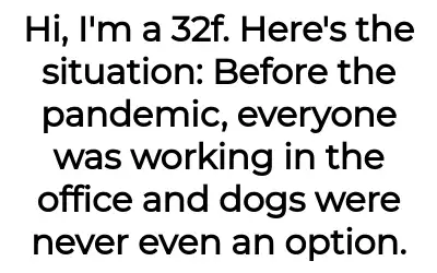 Image credit: nomoreofficedogs | nomoreofficedogs