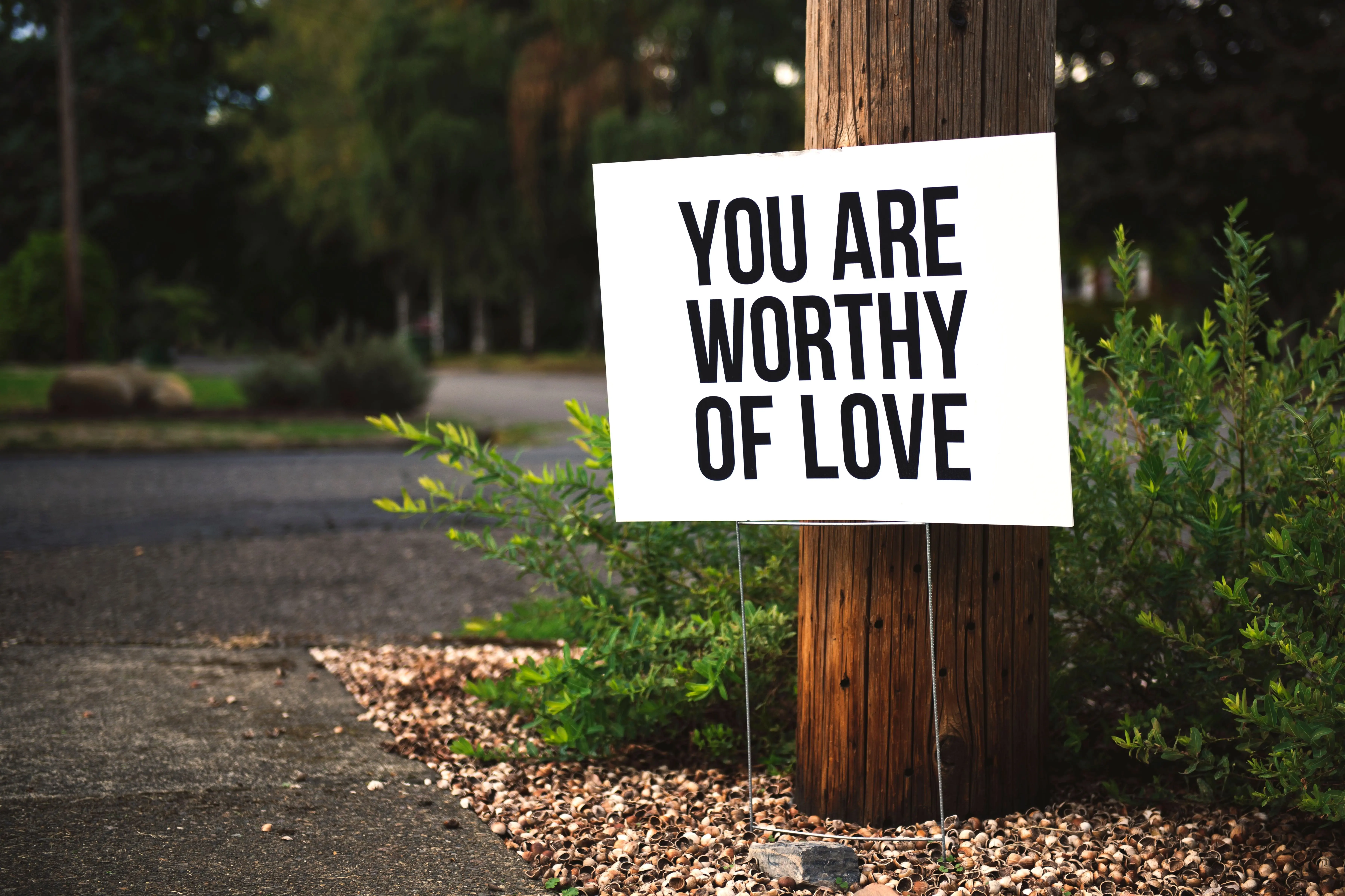 Image credit: Unsplash | Tim Mossholder