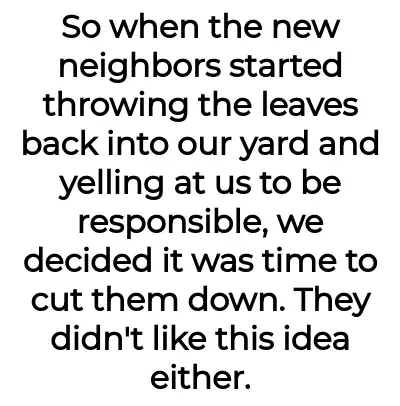 Image credit: bloomedtomb | bloomedtomb