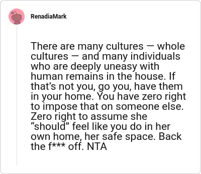 Image credit: RenadiaMark | RenadiaMark