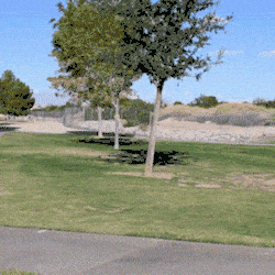 Image credit: Giphy | BLoafX