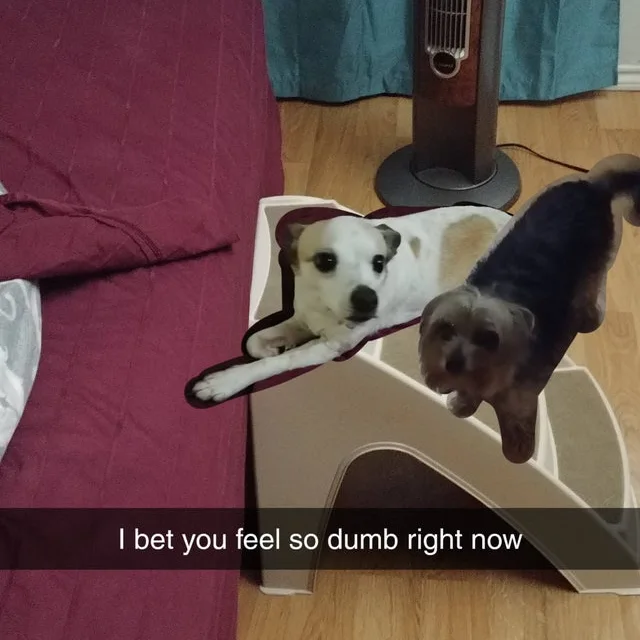 Image credit: Reddit | thejohnblog