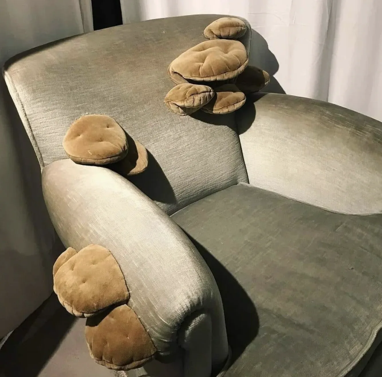 Image credit: Reddit | jezzybee