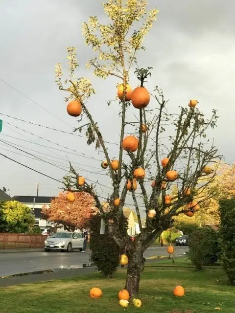 Image credit: AcidCow | AcidCow