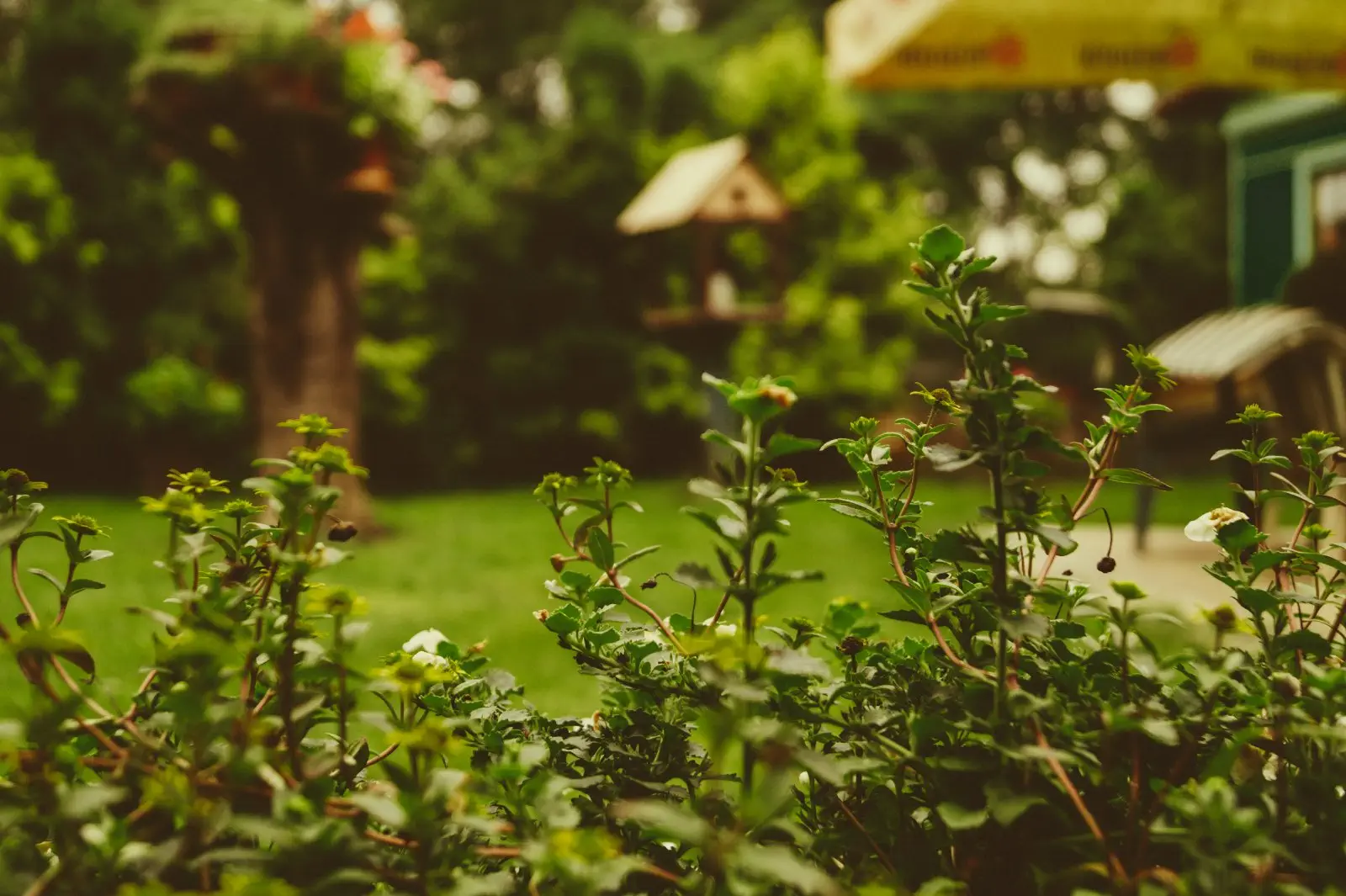 Image credit: Unsplash | Martin Kníže