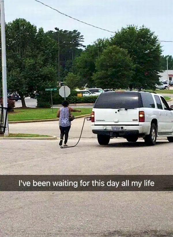Image credit: The Chive | The Chive
