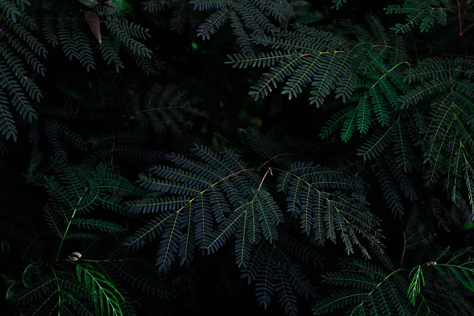 Image credit: Unsplash | Jeremy Bishop