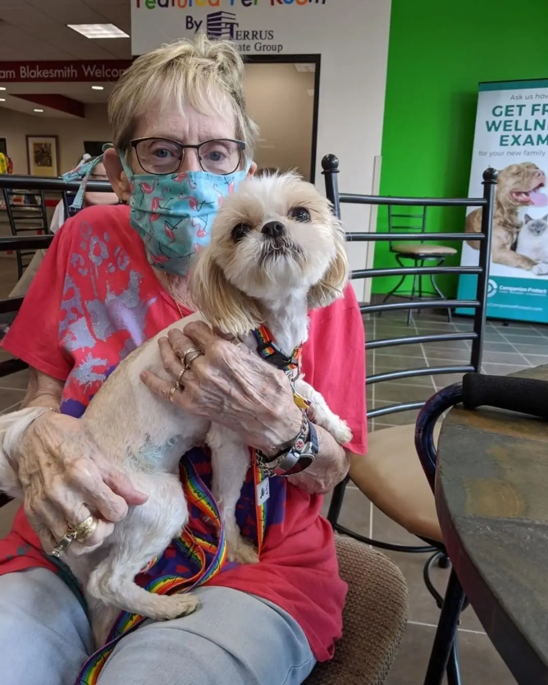Image credit: Instagram | @petsfortheelderly