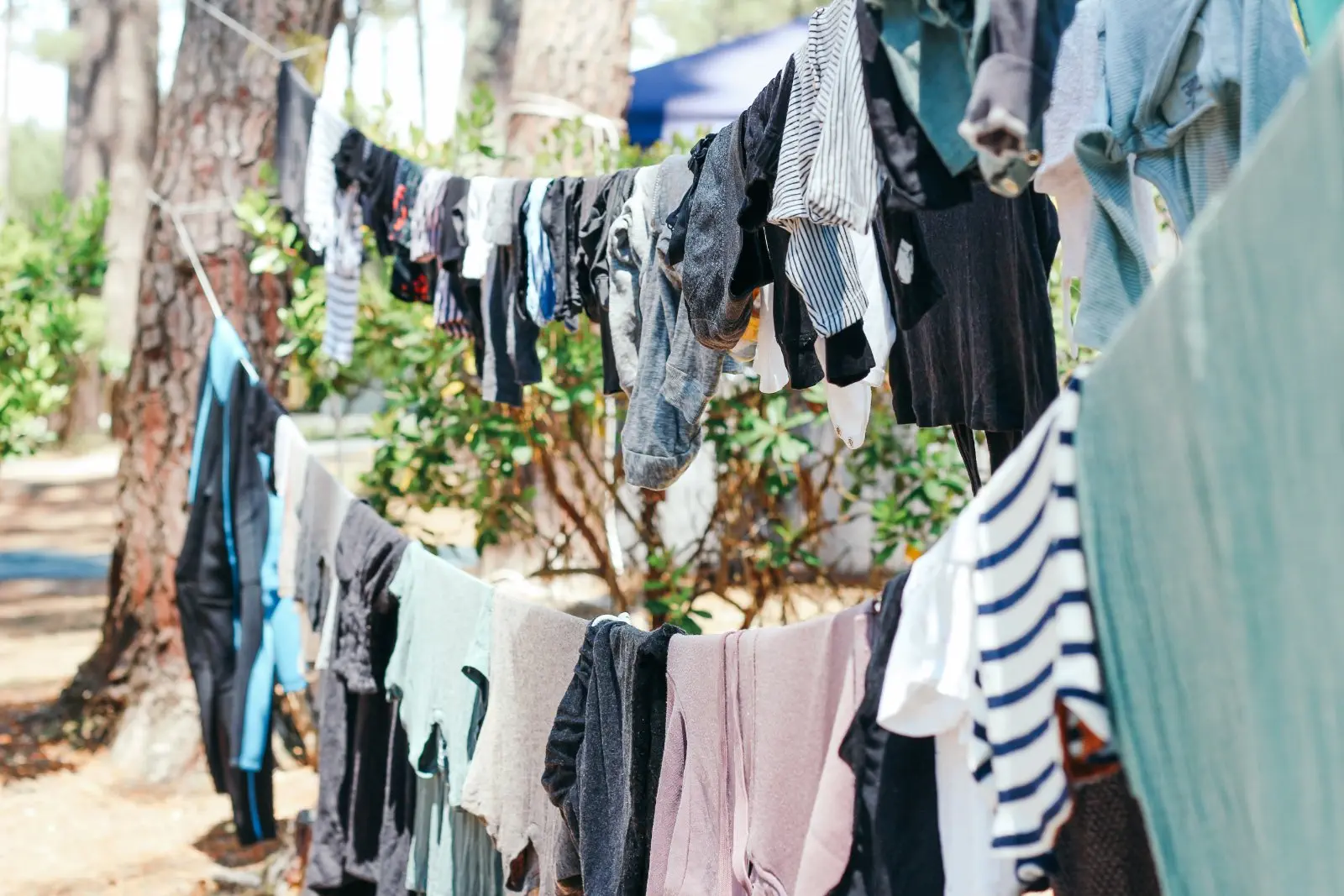 Image credit: Unsplash | Brina Blum