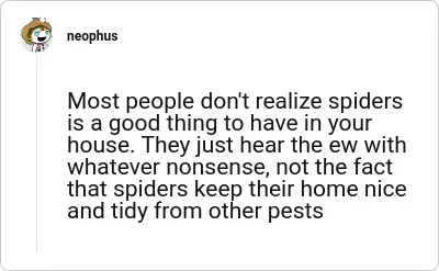 Image credit: neophus | neophus