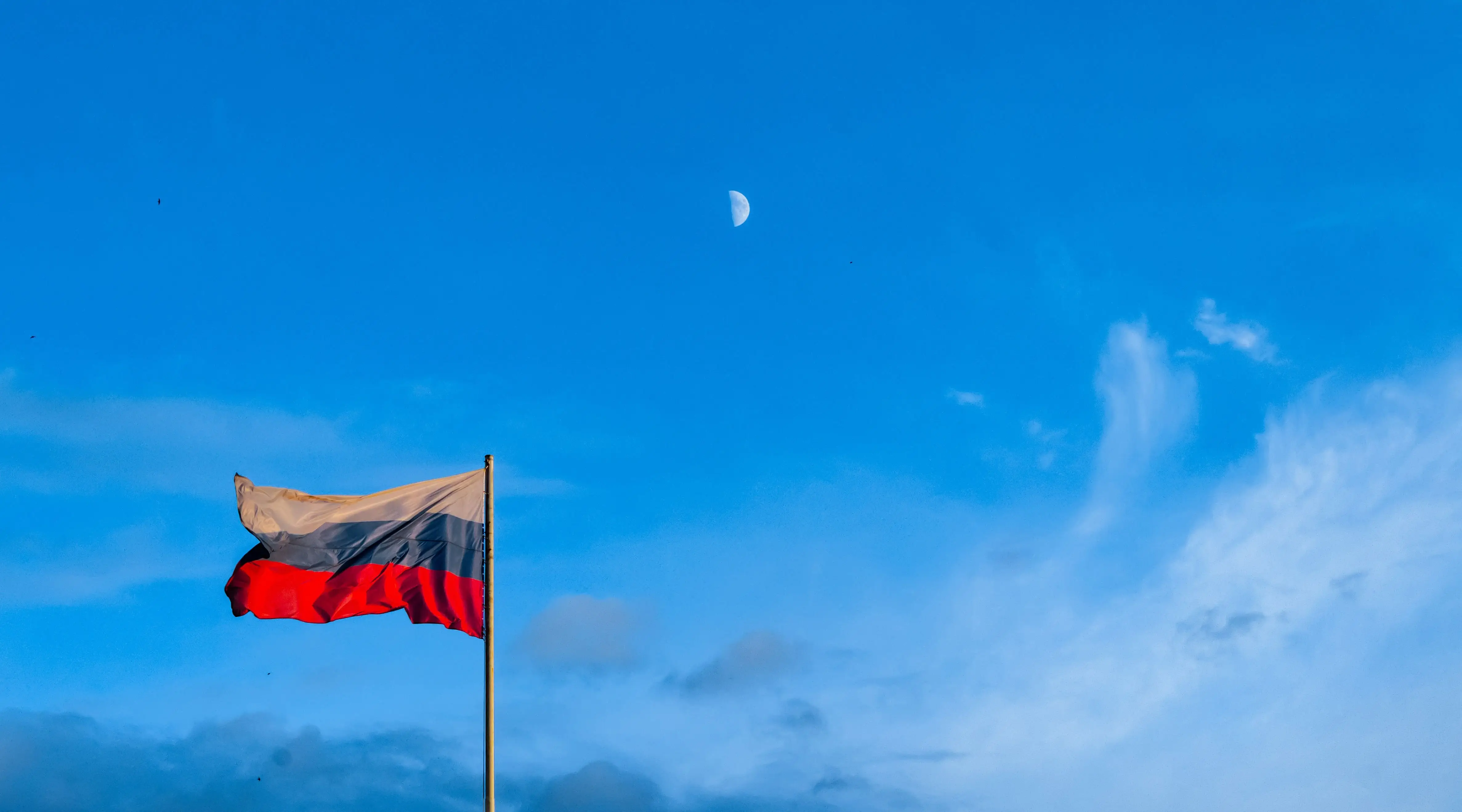 Image credit: Unsplash | Sam Oxyak