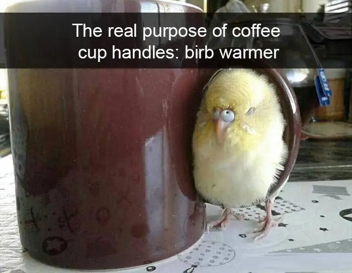Image credit: Reddit | viralagain
