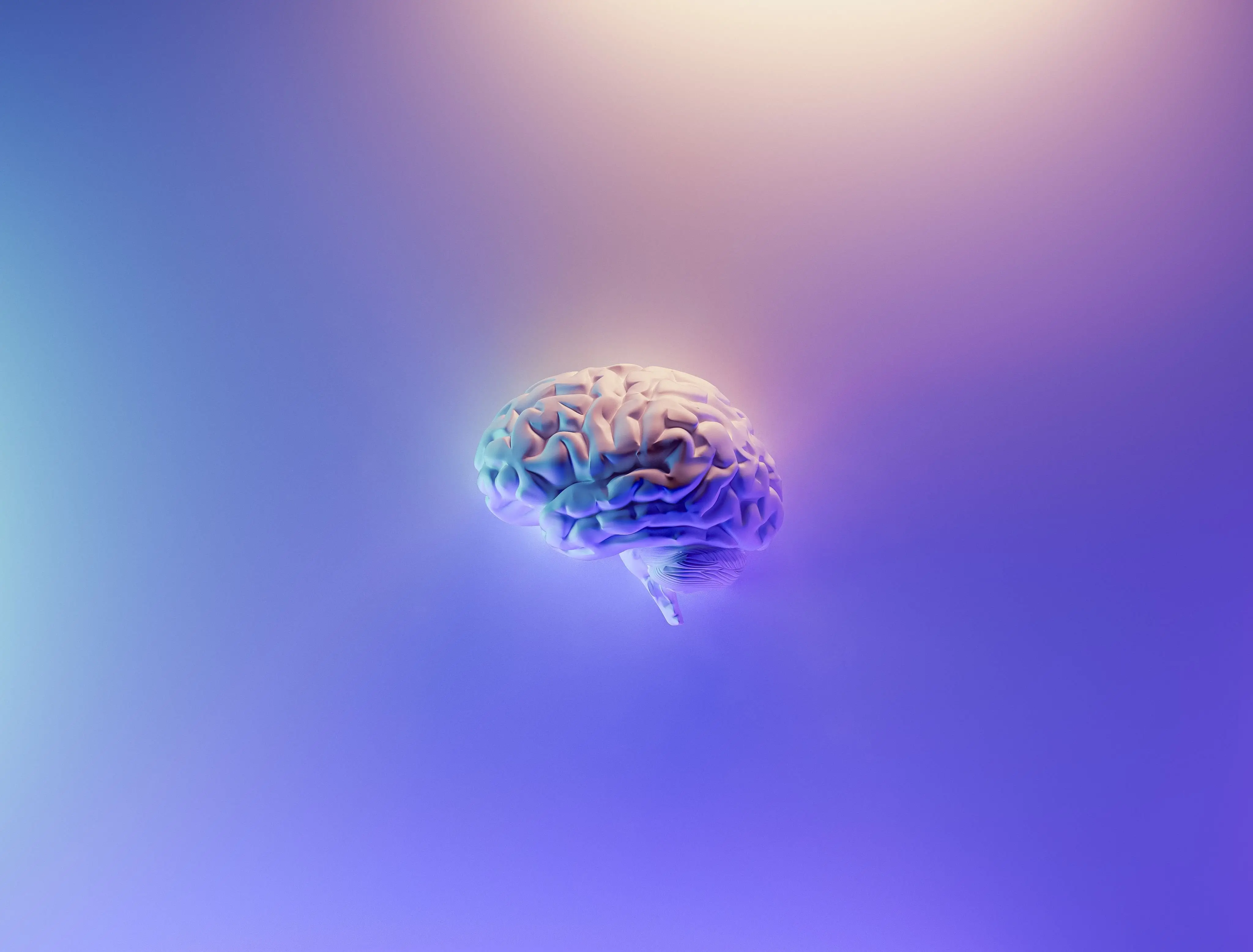 Brain (Image credit: Unsplash | Milad Fakurian)