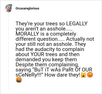 Image credit: Orcasareglorious | Orcasareglorious