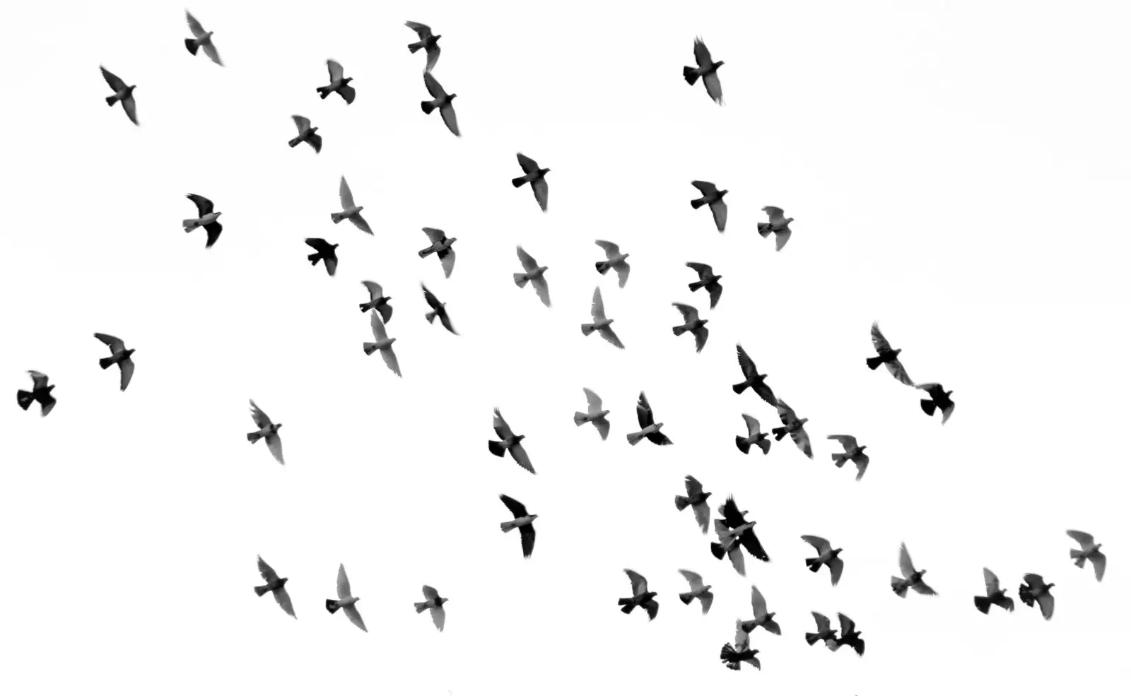 Image credit: Unsplash | Mehdi Sepehri