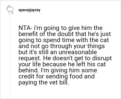 Image credit: spaceyjaycey | spaceyjaycey