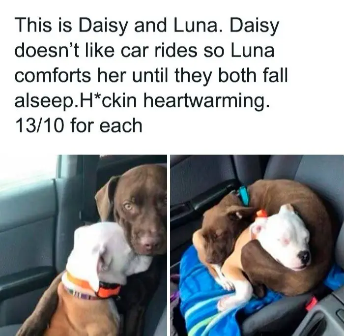 Image credit: Facebook | Facebook l veryblessedimages