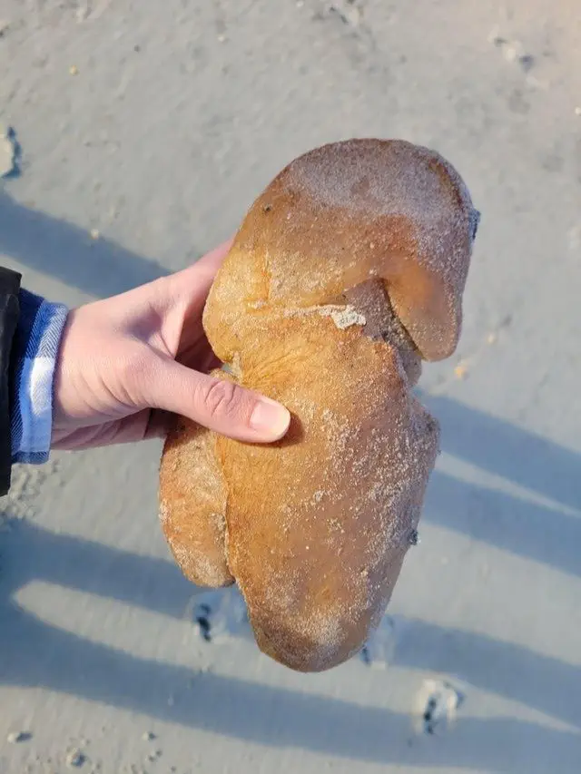 Image credit: reddit | freeicecream
