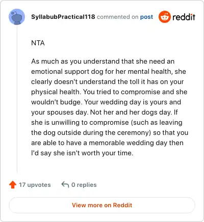 Image credit: SyllabubPractical118 | SyllabubPractical118