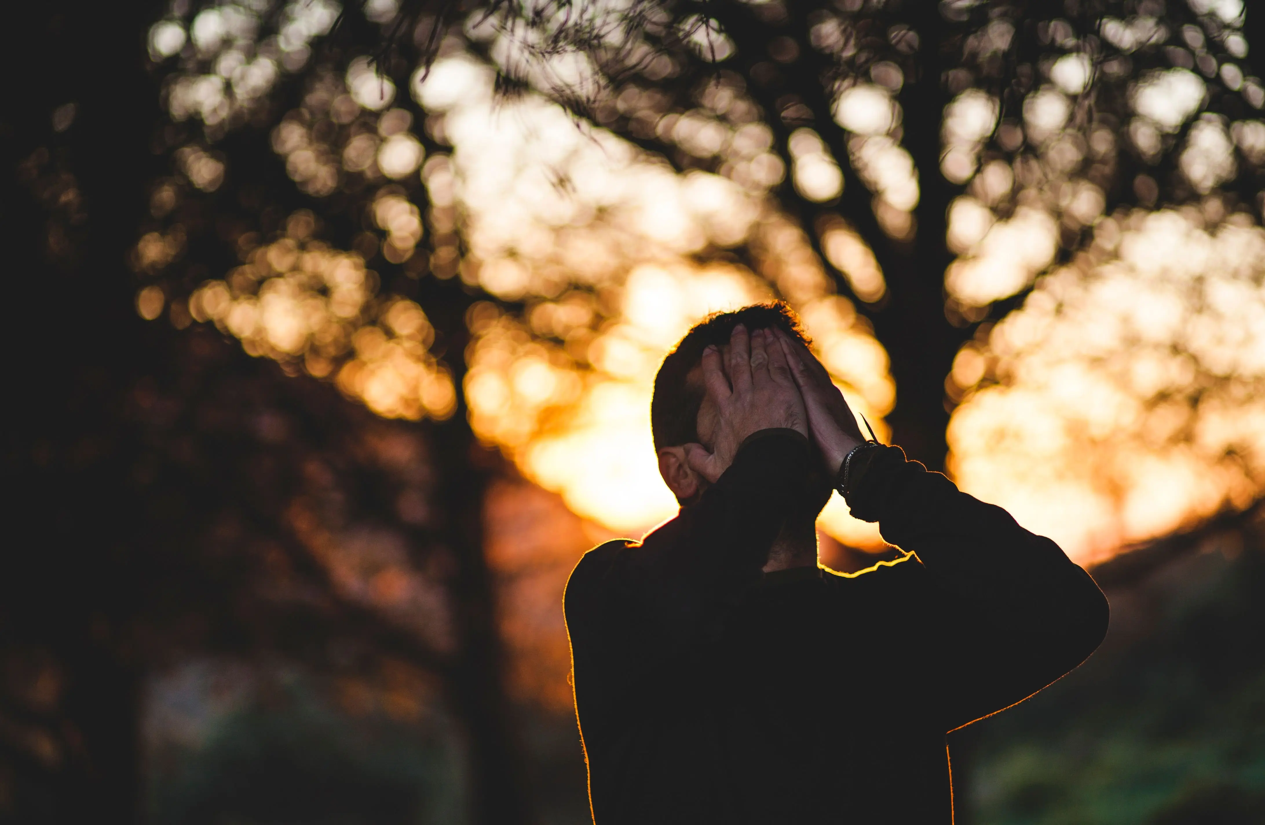 Image credit: Unsplash | Francisco Moreno