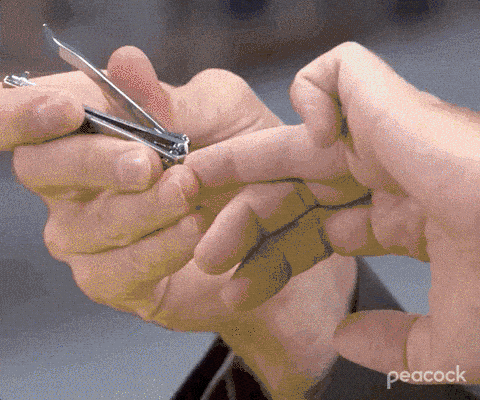 Image credit: Giphy | The Office