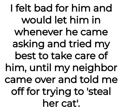 Image credit: pineapplesensitive35 | pineapplesensitive35