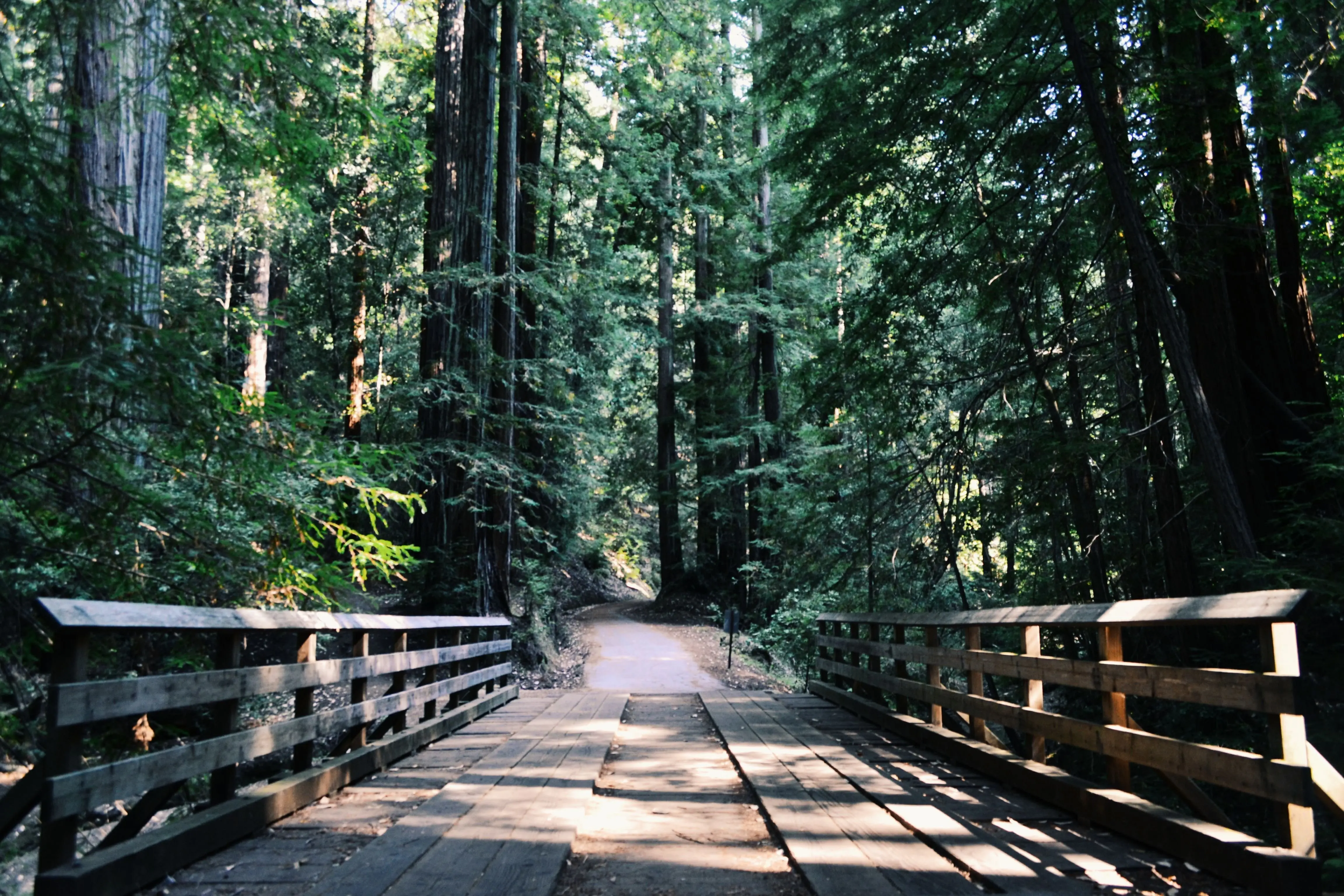 Image credit: Unsplash | Amos Gwa