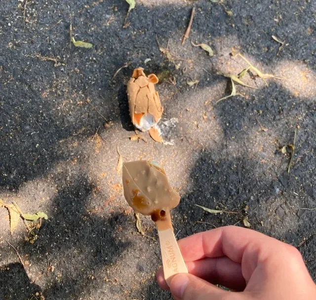 Image credit: Reddit | K0kkuri