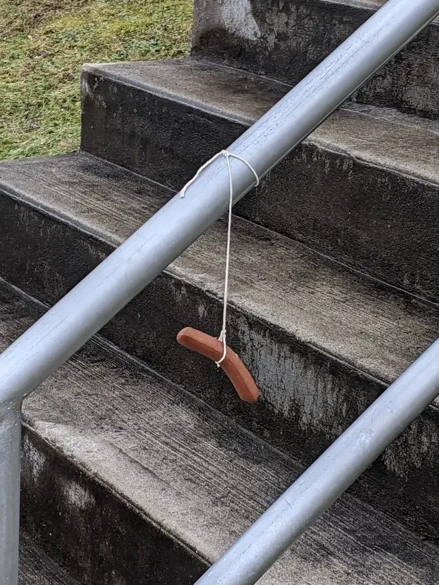 Image credit: Reddit | ThatBandYouLike