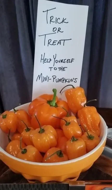 Image credit: Reddit | SilveradoSurfer16