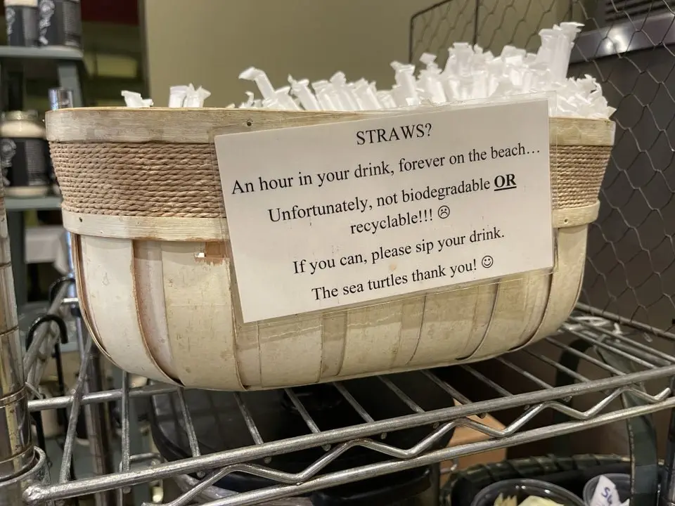 Image credit: Reddit | babyfats