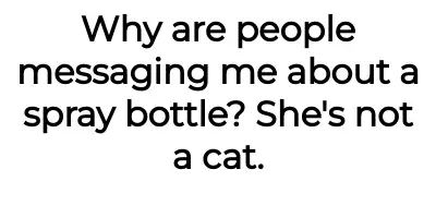 Image credit: quirky-regret-9031 | quirky-regret-9031