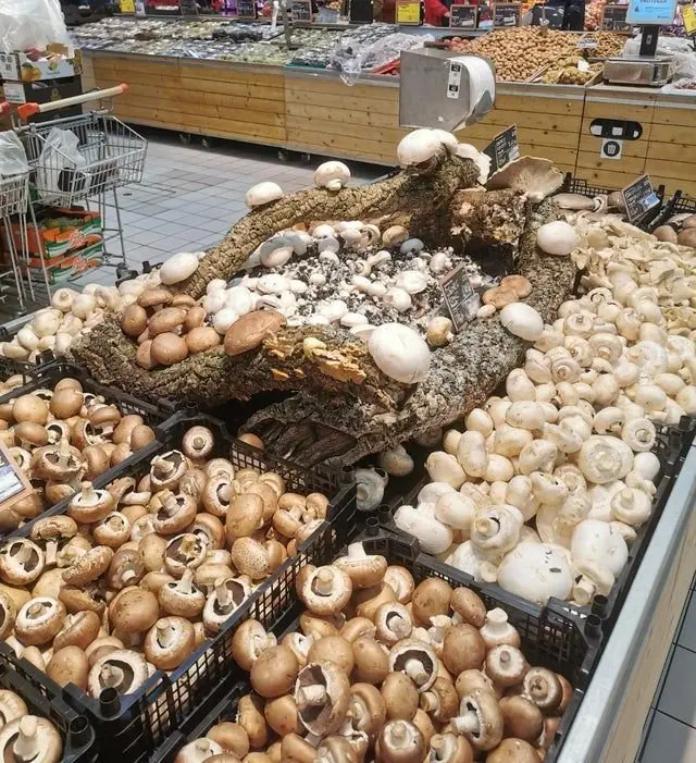Image credit: reddit | hugomcjohnson