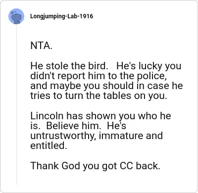 Image credit: Longjumping-Lab-1916 | Longjumping-Lab-1916