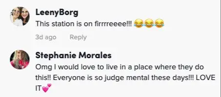 Image credit: TikTok | @brooklynbelle9335