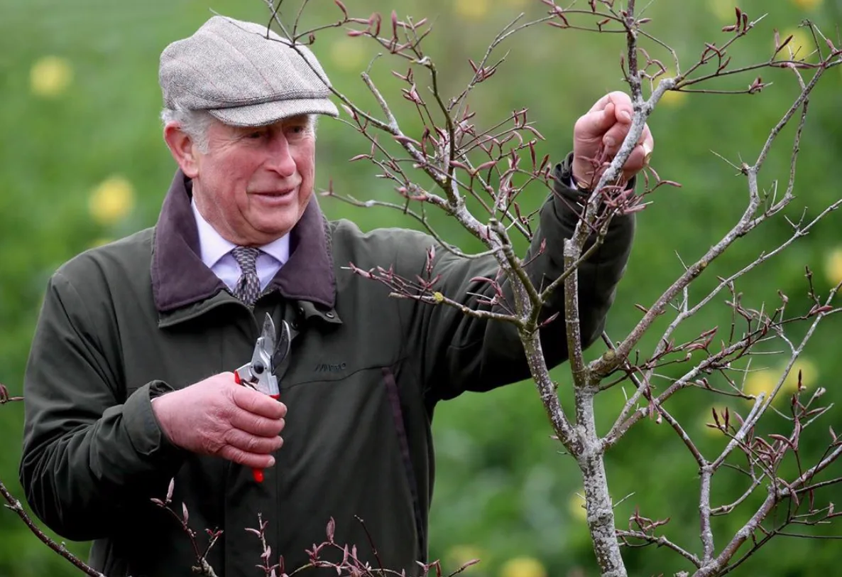 Image credit: Instagram | @clarencehouse
