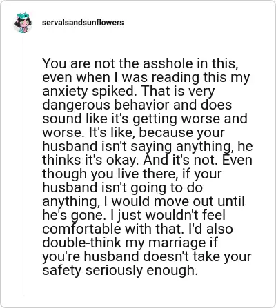 Image credit: servalsandsunflowers | servalsandsunflowers
