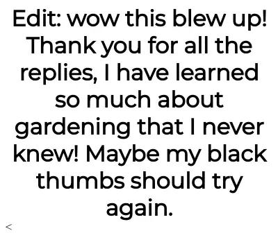 Image credit: slightly_gin-soaked | slightly_gin-soaked