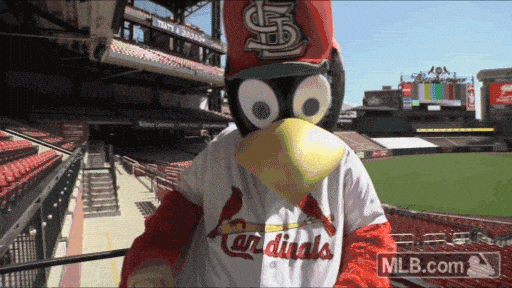 Image credit: Giphy | MLB