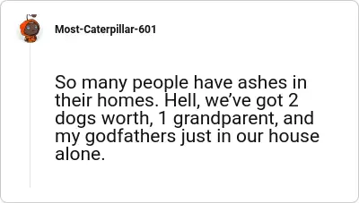 Image credit: Most-Caterpillar-601 | Most-Caterpillar-601
