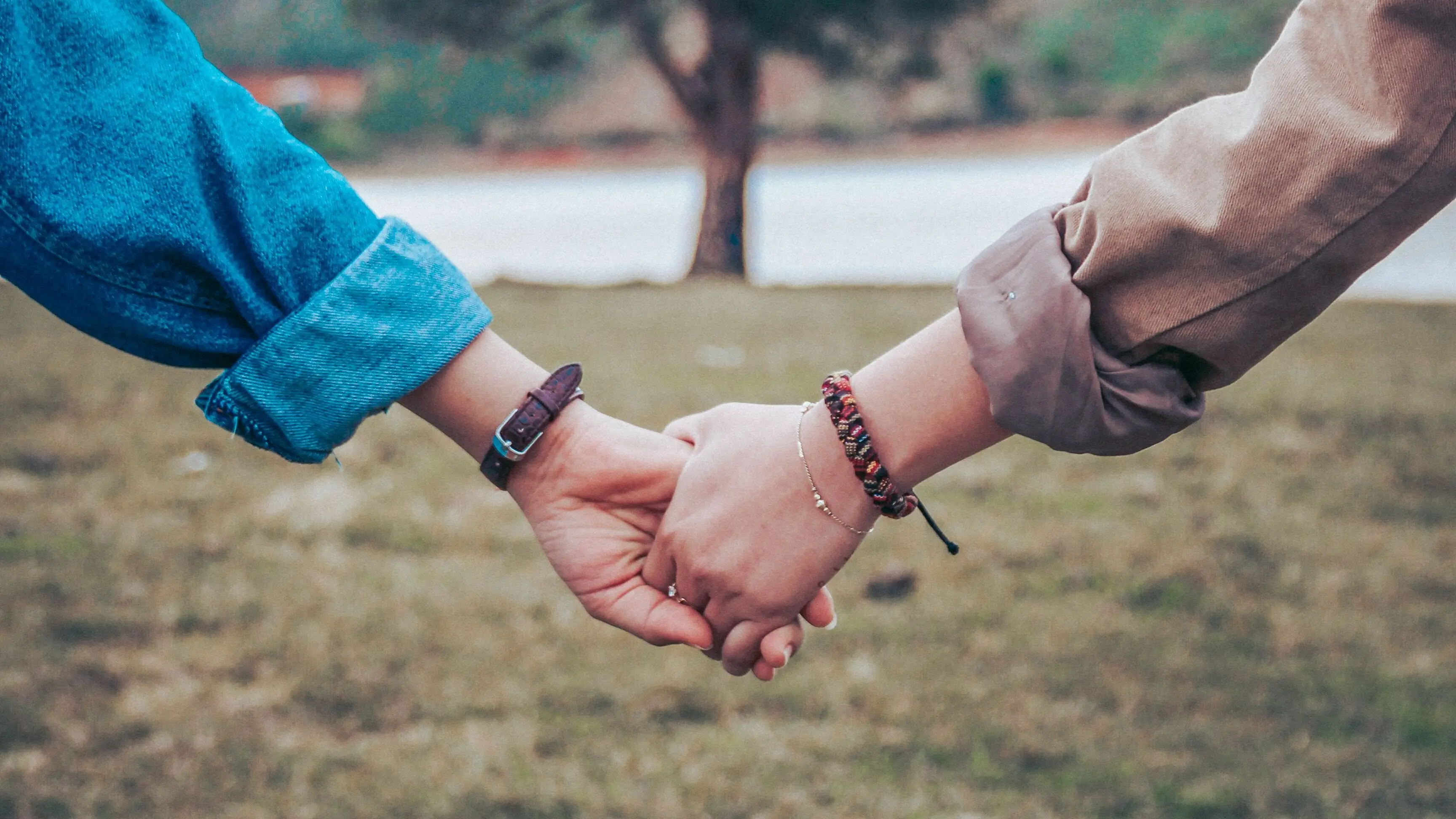 Image credit: Unsplash | Dương Hữu