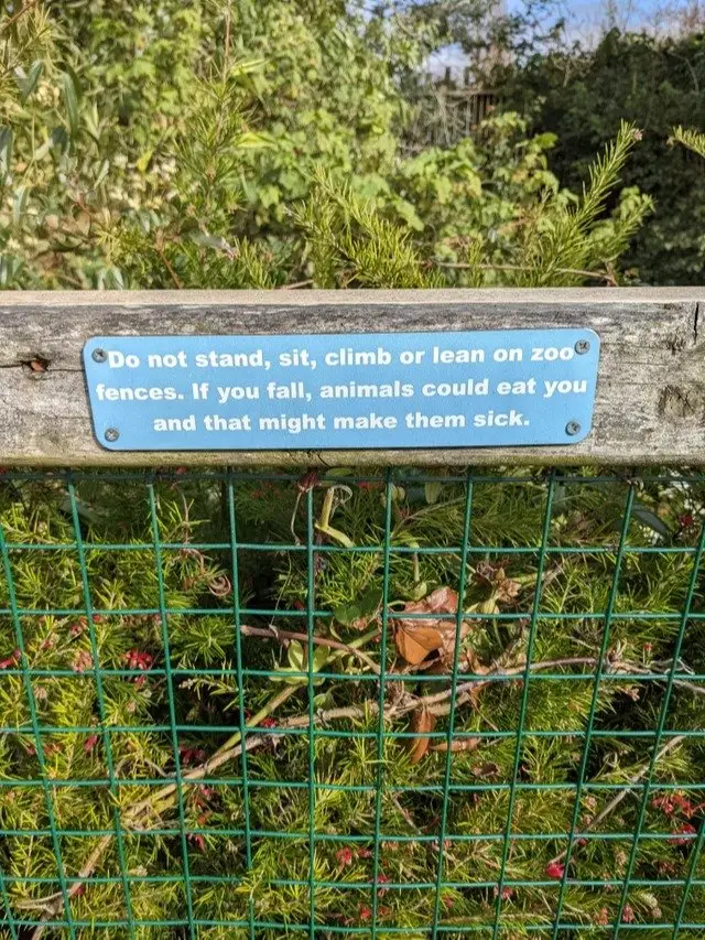 Image credit: reddit | Garaquararubyline