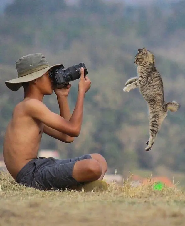 Image credit: Reddit | J-Baig