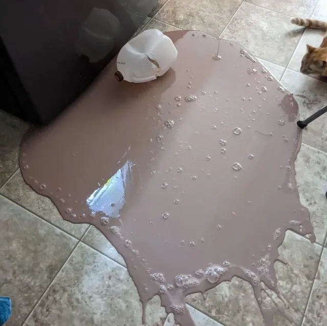 Image credit: Reddit | u/ArtsySAHM